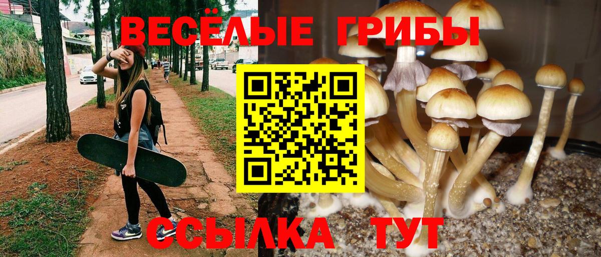 Меф МЯУ МЯУ кристаллы  КОКАИН  Вход с VPN  Богородицк  ГАШИШ  Бошки Шишки  ТГК  Меф МЯУ МЯУ  Кетамин 