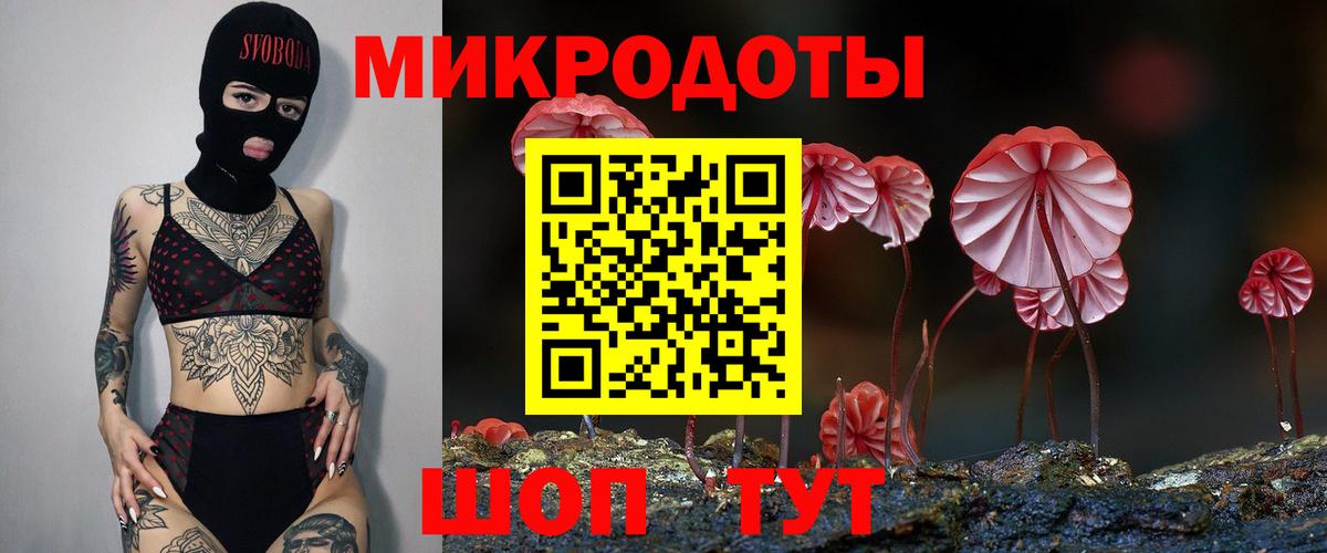 Богородицк  Псилоцибиновые грибы Psilocybe  закладка  Вход с VPN 
